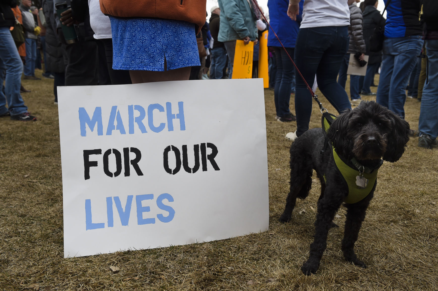 March for Our Lives in Helena